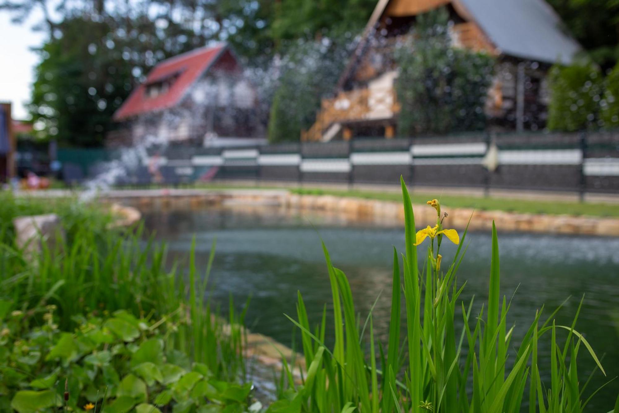Ziemia-Ogien Apartamenty Mazurska Kraina Narie Bogaczewo  Экстерьер фото